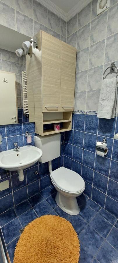 סובוטיקה Apartman Studio Niki מראה חיצוני תמונה