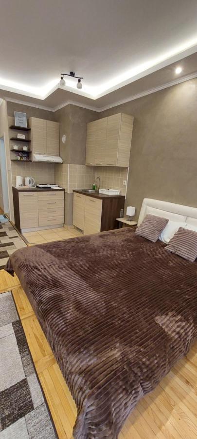סובוטיקה Apartman Studio Niki מראה חיצוני תמונה